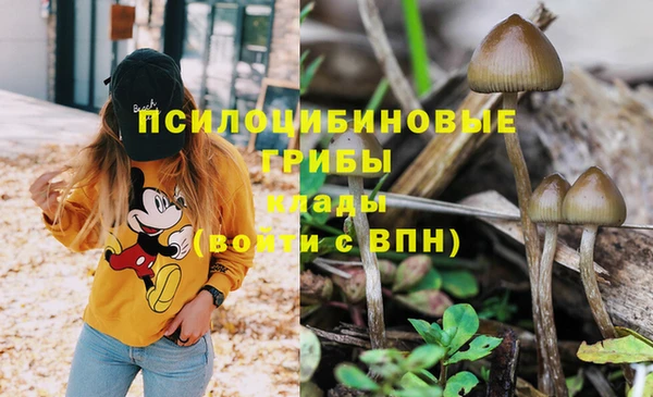 соль ск Алексеевка