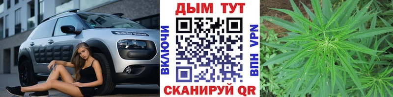 МАРИХУАНА ГИДРОПОН  мега зеркало  Северская 